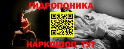 spice Кингисепп