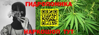 гидра Кинель