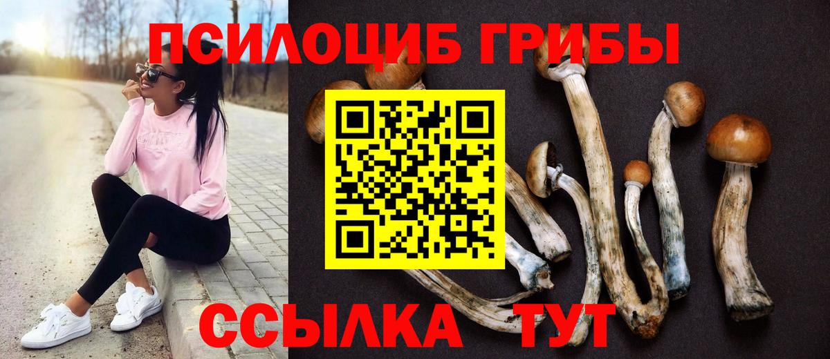 Галлюциногенные грибы прущие грибы Котовск