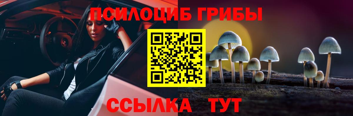 Галлюциногенные грибы GOLDEN TEACHER  Вход с VPN  Котовск  купить  цена  Галлюциногенные грибы GOLDEN TEACHER 